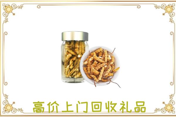 连云港周边回收虫草